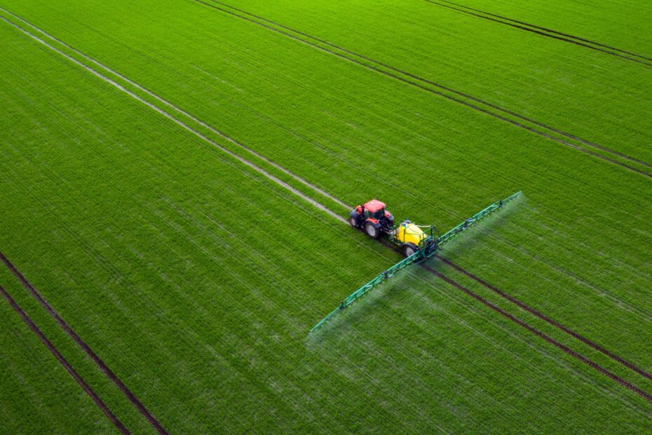 Druga dawka azotu w pszenicy