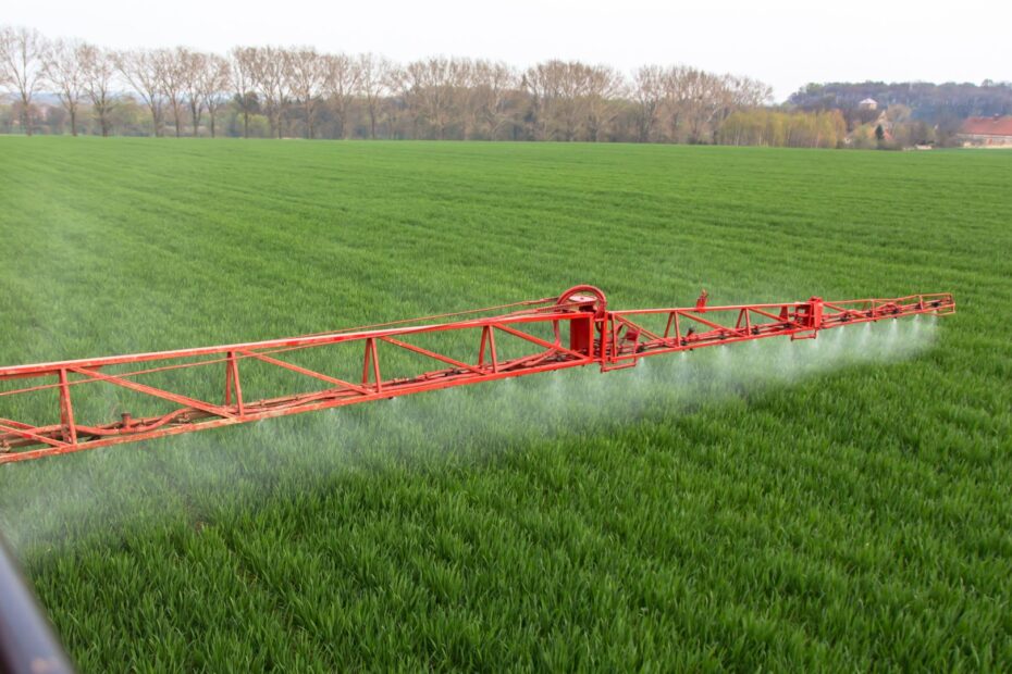 Oprysk na chwasty w pszenicy ozimej wiosną