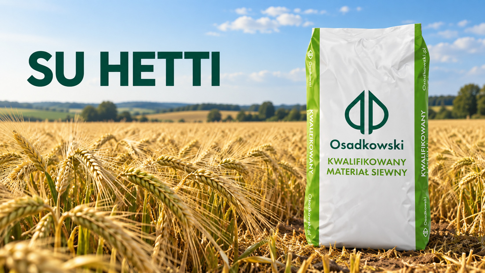 Jęczmień ozimy SU Hetti