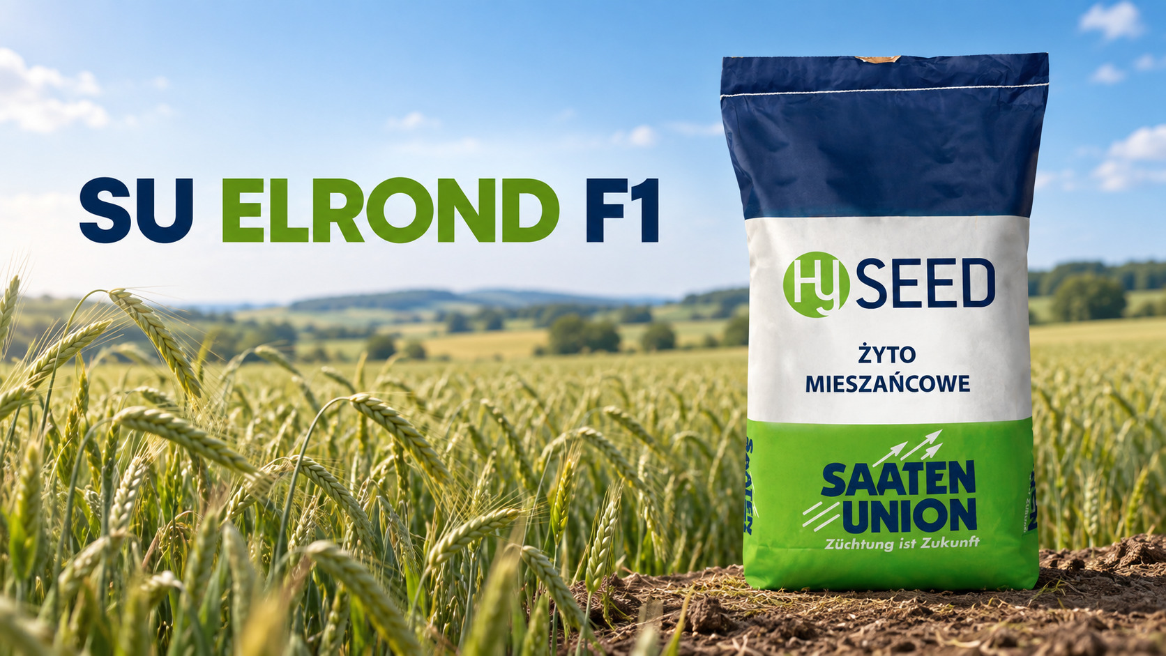 Żyto mieszańcowe SU Elrond